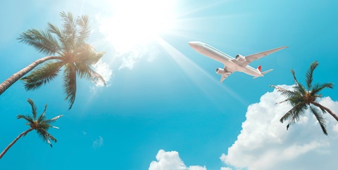 Blue sky with coconut trees, The airplane is going to the tropical sea beach. for sightseeing and relaxing in the summer holidays.