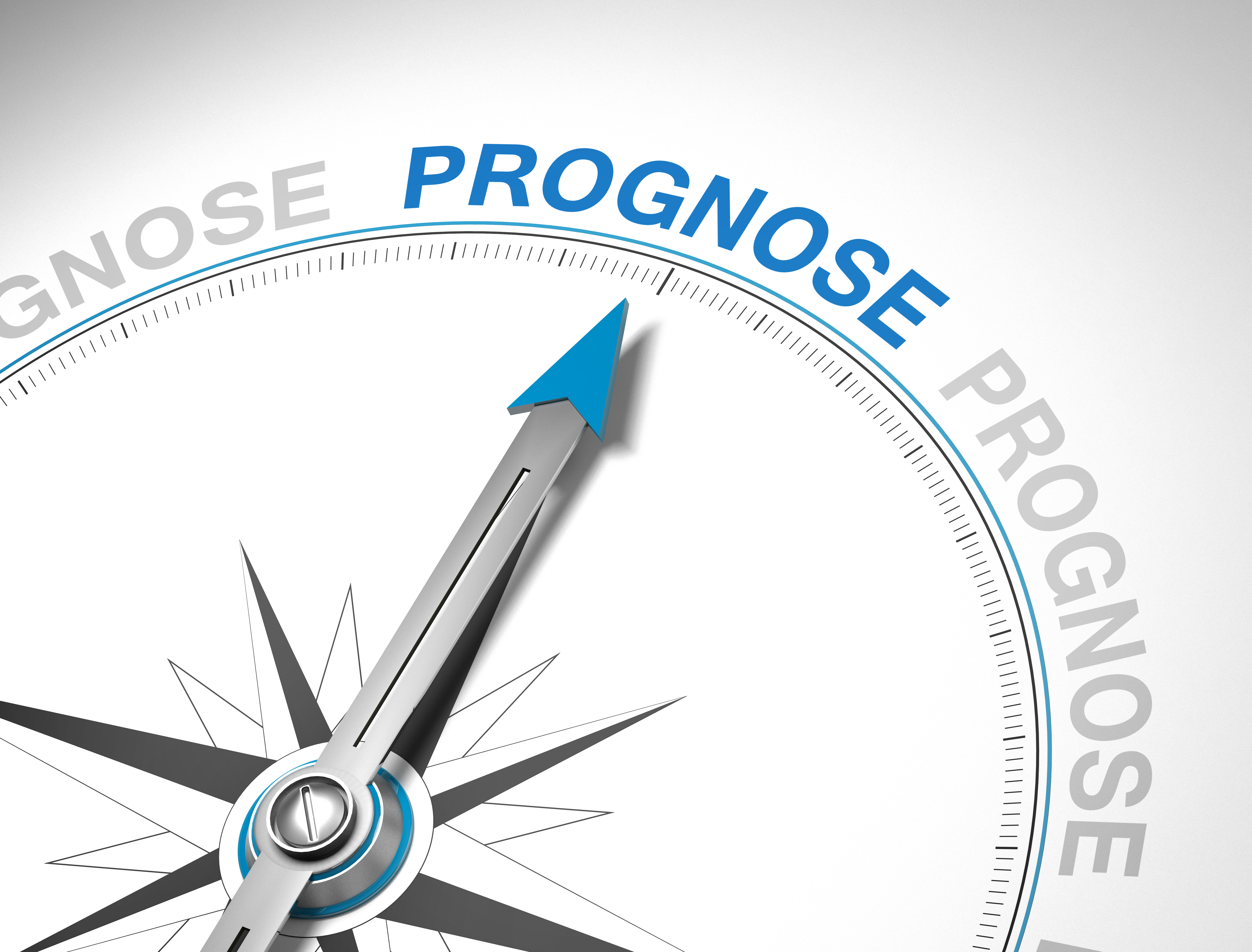 Prognose / Kompass